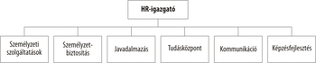 HR szervezeti struktúra a HR-igazgatóval és osztályokkal HR szervezeti struktúra, HR-igazgató és alá tartozó osztályok: személyzeti szolgáltatások, személyzet-biztosítás, javadalmazás, tudásközpont, kommunikáció, képzésfejlesztés.