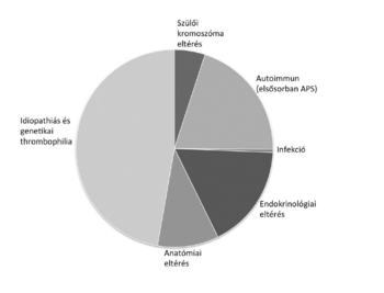 Egészségügyi eltérések kördiagramja Kördiagram, amely különböző egészségügyi eltérések arányát mutatja, mint szülői kromoszóma eltérés, autoimmun, infekció, endokrinológiai, anatómiai eltérés és thrombophilia.