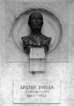 Apáthy István mellszobra egy emléktáblán, feliratokkal: Apáthy István, természettudós, 1863-1922.