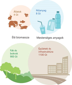 A Föld élő biomassza és mesterséges anyagok mennyisége Diagram a Föld élő biomassza és mesterséges anyagok mennyiségéről, állatok, műanyag, fák, bokrok, épületek és infrastruktúra.