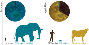 Biomassza arányok változása 10 ezer évvel ezelőtt és napjainkban Kördiagramok és sziluettek mutatják az emberi és állati biomassza arányát 10 ezer évvel ezelőtt és napjainkban.