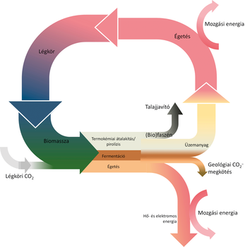 Biomassza átalakítási folyamat és energiahasznosítás Diagram a biomassza átalakítási folyamatáról, CO2 megkötés, biofaszén, üzemanyag, talajjavító és energiaformák.