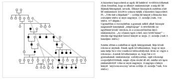 Családfa diagram, amely a házastársi kapcsolatok és reinkarnációk összefüggéseit mutatja be, szöveges magyarázattal.