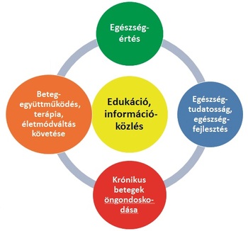 Egészségügyi edukáció és információközlés kördiagram Kördiagram az egészségügyi edukációról és információközlésről, beleértve egészségértést, egészségtudatosságot, krónikus betegek önondoskodását és beteg-együttműködést.
