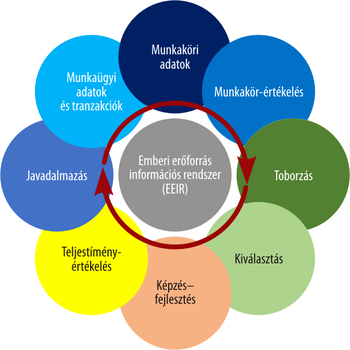 Emberi erőforrás információs rendszer folyamatábra, HR funkciók körkörös elrendezésben.