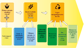 Energiaáramlási diagram, amely bemutatja a primer energiaelőállítást, bruttó belföldi termelést, végső energiafogyasztást, energia veszteségeket és biomassza felhasználási célokat.