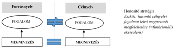 Forrásnyelv és célnyelv fogalmi különbségek Diagram a forrásnyelv és célnyelv fogalmi és megnevezési különbségeiről, honosító stratégia bemutatásával.