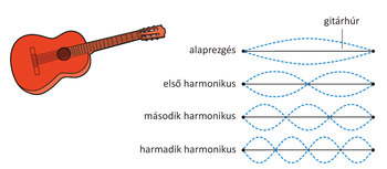 Gitárhúr rezgéseinek harmonikusai Gitár és a gitárhúr rezgéseinek különböző harmonikusai: alaprezgés, első, második és harmadik harmonikus.