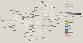 Hálózati diagram személyek közötti kapcsolatokkal Hálózati diagram, amely személyek közötti kapcsolatokat és közösségi centralitást mutat színes pontokkal és vonalakkal.