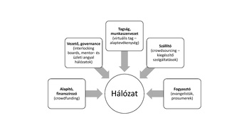Hálózati modell, amely bemutatja a vezető, tagság, szállító, alapító és fogyasztó szereplőket és kapcsolataikat.