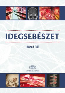 Idegsebészet