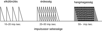 Impulzussor sebessége diagram Diagram az impulzussor sebességéről, elkülönülés, érdesség és hangmagasság kategóriákban.