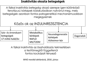 Inaktivitás okozta betegségek és inzulinrezisztencia Diagram az inaktivitás okozta betegségekről, közös ok az inzulinrezisztencia.