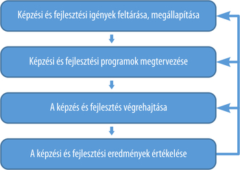Képzési és fejlesztési folyamat lépései Képzési és fejlesztési folyamat lépései: igények feltárása, programok megtervezése, végrehajtás, eredmények értékelése.