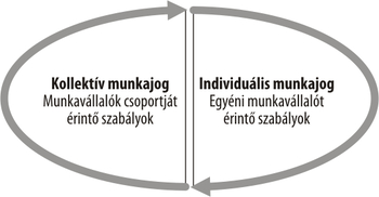 Kollektív és individuális munkajog kapcsolata Kollektív munkajog és individuális munkajog közötti kapcsolat, munkavállalók szabályai.