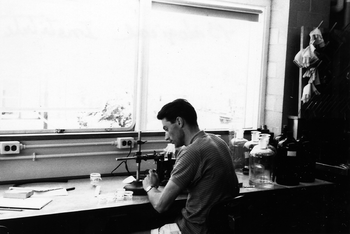 Laboratóriumi kutatás mikroszkóppal Egy laboratóriumi környezet, ahol egy személy mikroszkóppal dolgozik, körülötte üvegek és kémcsövek.
