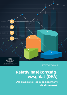 Relatív hatékonyságvizsgálat (DEA)