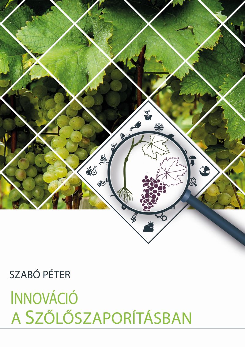 Innováció a szőlőszaporításban