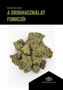 A droghasználat funkciói