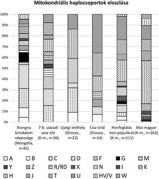 Mitokondriális haplocsoportok eloszlása különböző populációkban Diagram a mitokondriális haplocsoportok eloszlásáról különböző populációkban, mint Xiongnu, avar elit, Ujelgi, Cisz-Urál, honfoglalás kori és mai magyar.