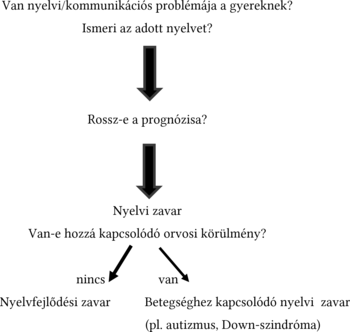 Döntési folyamat a gyermek nyelvi/kommunikációs problémáinak diagnosztizálására, nyelvi zavar, nyelvfejlődési zavar, betegséghez kapcsolódó nyelvi zavar.