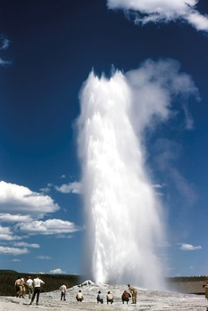 Old Faithful gejzír kitörése a Yellowstone Nemzeti Parkban Old Faithful gejzír kitörése a Yellowstone Nemzeti Parkban, turisták figyelik.