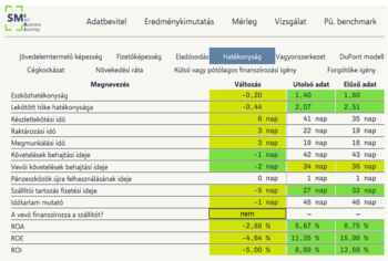 Pénzügyi hatékonysági mutatók táblázata Pénzügyi hatékonysági mutatók táblázata, eszközhatékonyság, lekötött tőke, ROA, ROE, ROI.