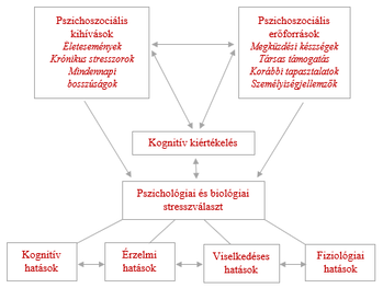 Pszichoszociális stresszválasz diagram Diagram a pszichoszociális kihívások és erőforrások hatásáról a stresszválaszra.