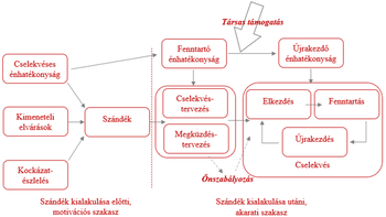 Szándék kialakulása és megvalósítása folyamatábra Folyamatábra a szándék kialakulásának és megvalósításának szakaszairól, motivációs és akarati szakaszokkal.