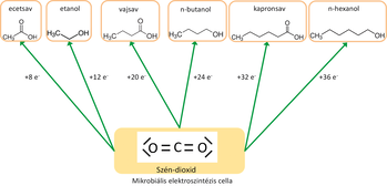 Szén-dioxid átalakulása mikrobiális elektroszintézis cellában Szén-dioxid mikrobiális elektroszintézis cellában ecetsav, etanol, vajsav, n-butanol, kapronsav és n-hexanol vegyületekké alakul.