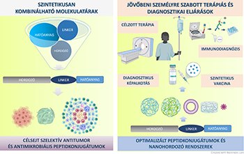 Szintetikusan kombinálható molekulatárak és jövőbeni személyre szabott terápiás és diagnosztikai eljárások, mint célzott terápia, immunodiagnózis, diagnosztikus képalkotás és szintetikus vakcinák.
