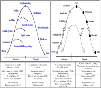 Vállalatok életciklusa diagramok Két diagram a vállalatok életciklusáról, növekedés és előregedés fázisokkal, CAPI ponttal.