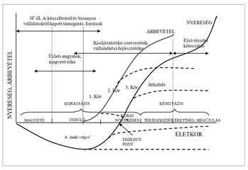 Vállalkozás életciklusa és finanszírozási fázisai Diagram a vállalkozás életciklusáról és finanszírozási fázisairól, nyereség és árbevétel alakulása.