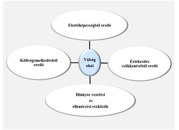 A válság okai diagram Diagram a válság okairól: fizetőképesség, költségemelkedés, értékesítés csökkenése, vezetési és ellenőrzési eszközök.
